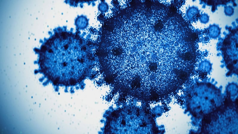 Influenza A cases are spiking across Mid-Michigan amid the holidays.