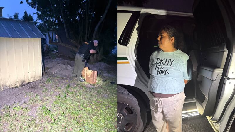 The Martin County sheriff said two cats survived and two others were found dead.