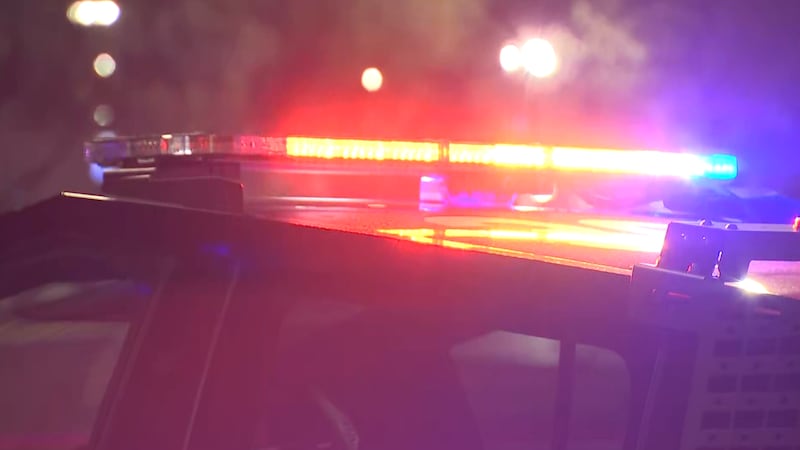 Generic photo of the Las Vegas Metropolitan Police Department.