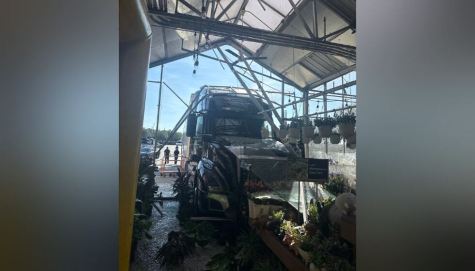 Un camión se estrelló contra un Home Depot luego de que el conductor se le olvidara activar el...