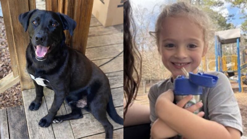 Johnathan Everett Boley, 4, and his dog went missing on New Year's Eve in Walker County, Alabama.