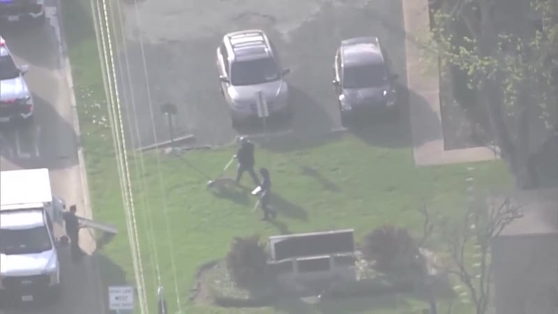 Muere bebé de seis meses en Texas tras ser atacada por un perro