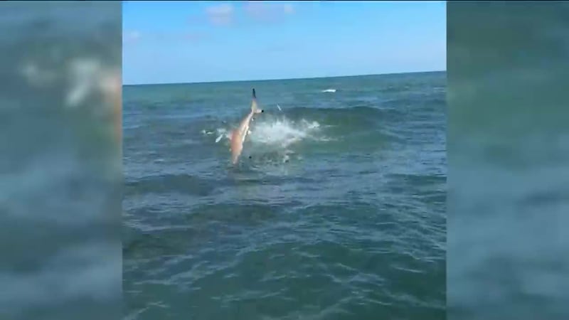 Top 5 con Miguel Ángel Antoñanzas | 15 de abril de 2026