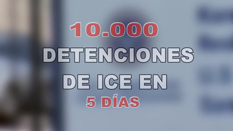 Expertos advierten sobre falsos abogados tras incremento de detenciones de ICE. (KVDA vía...